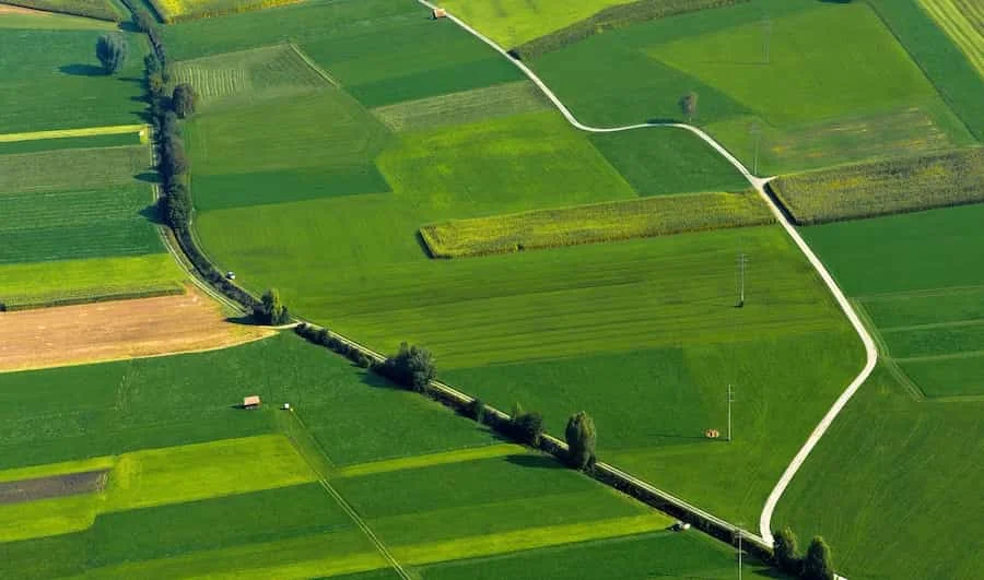 Plotting & Land Development
                             